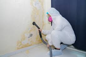  Two Harbors, MN Mold Removal Pros